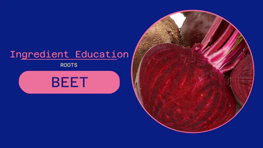 ROOTS: BEET