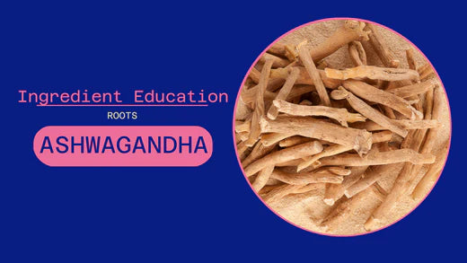 ROOTS: ASHWAGANDHA