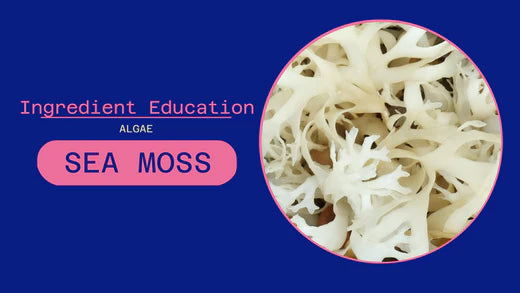 ALGAE: SEA MOSS