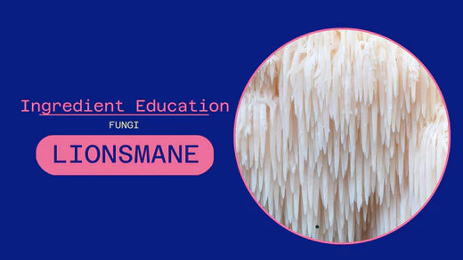 FUNGI: LIONSMANE